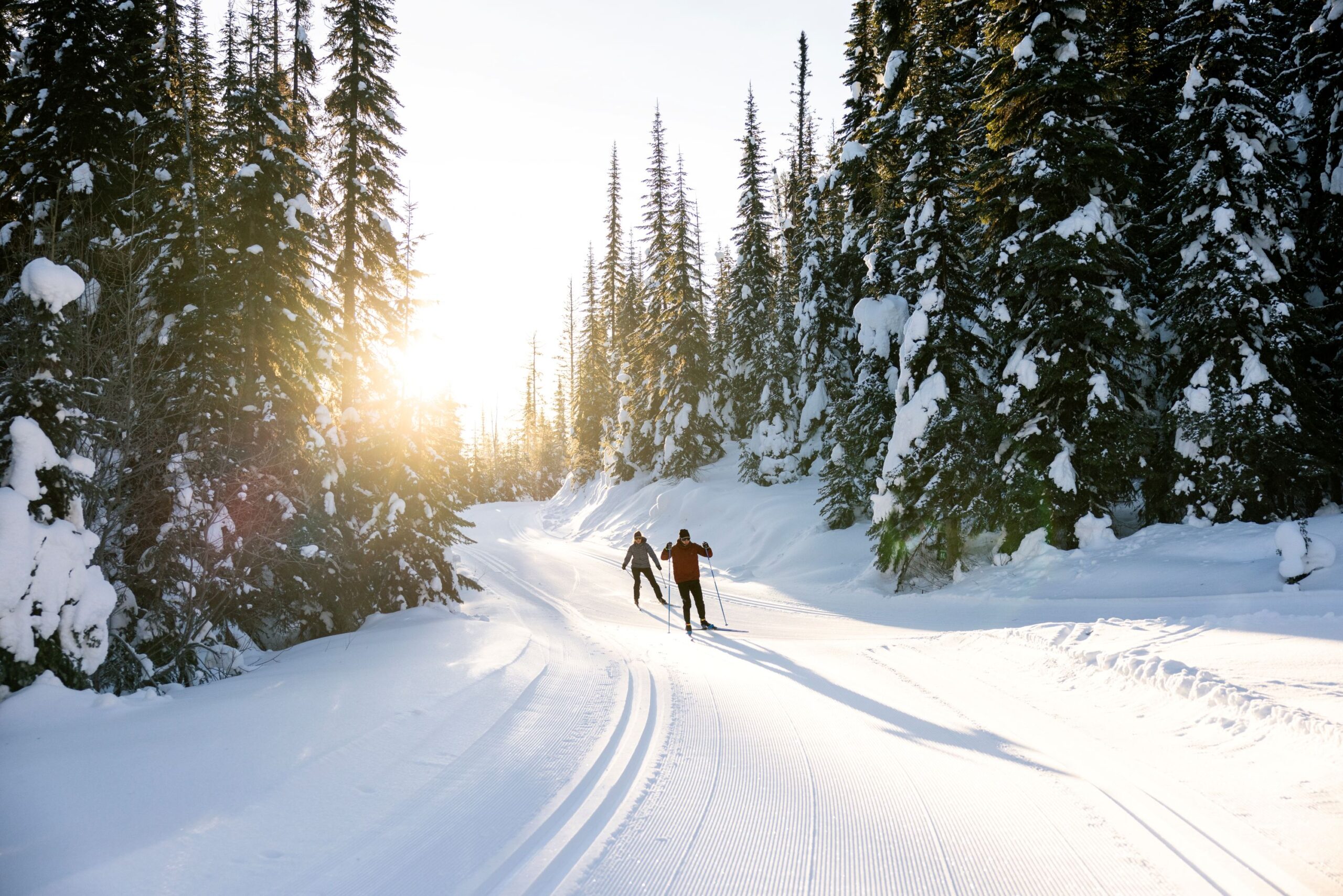 Read more about the article Marketing Toolkit (Winter)